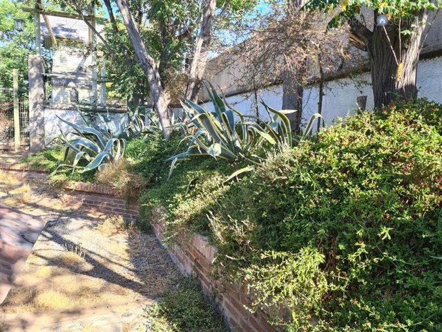 place photo 40