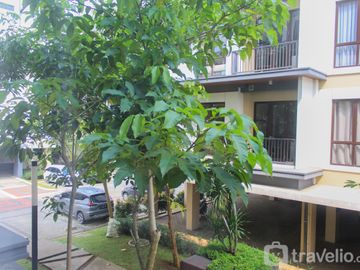 place photo 28
