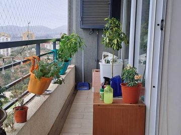 place photo 41
