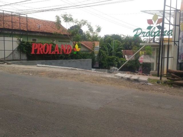 place photo 2