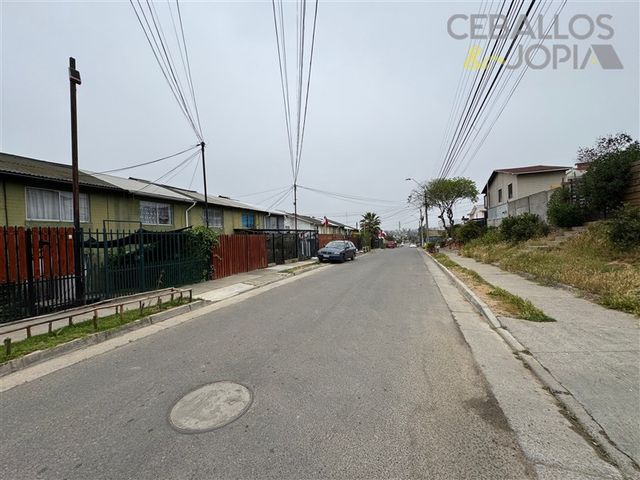 place photo 19