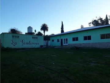 place photo 8
