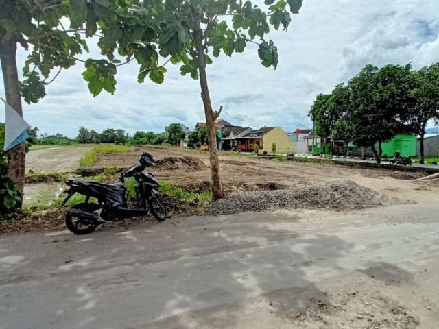 place photo 4