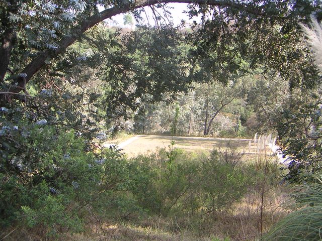 place photo 12
