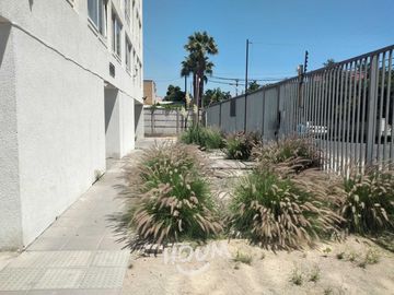 place photo 14