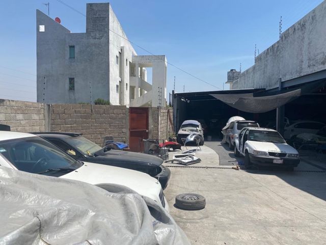 place photo 15