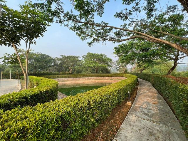 place photo 39