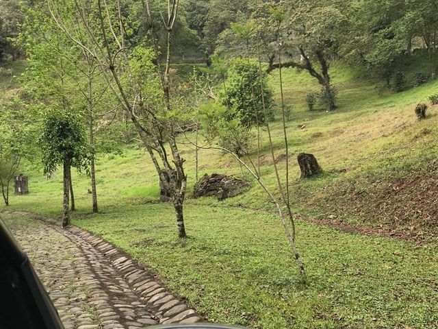 place photo 28