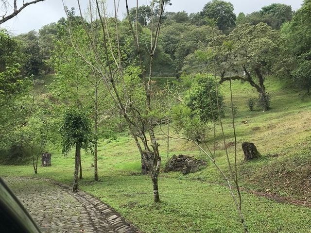 place photo 29