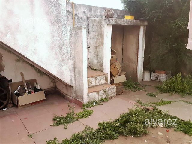 place photo 25