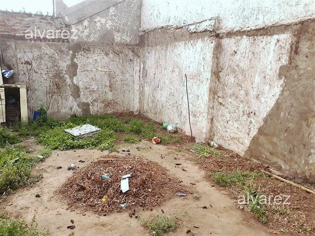 place photo 26