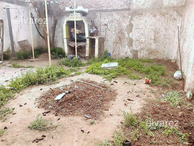 place photo 27