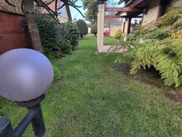 place photo 37