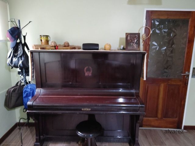 place photo 13