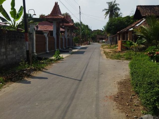 place photo 12