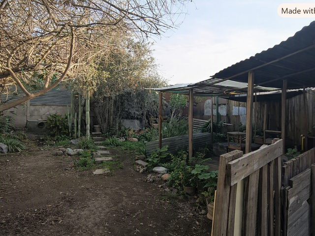 place photo 22
