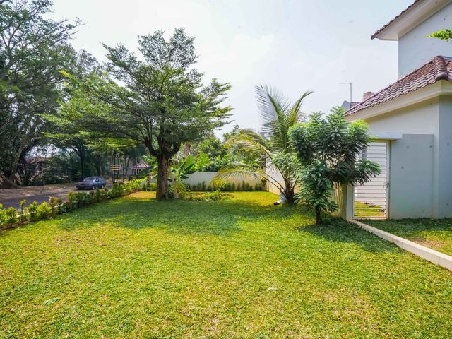 place photo 54