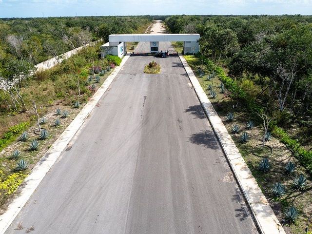 place photo 13