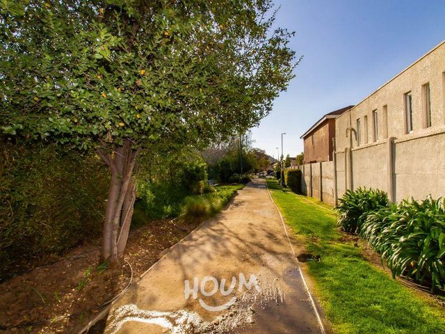 place photo 48