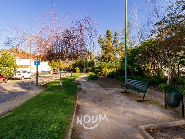 place photo 42