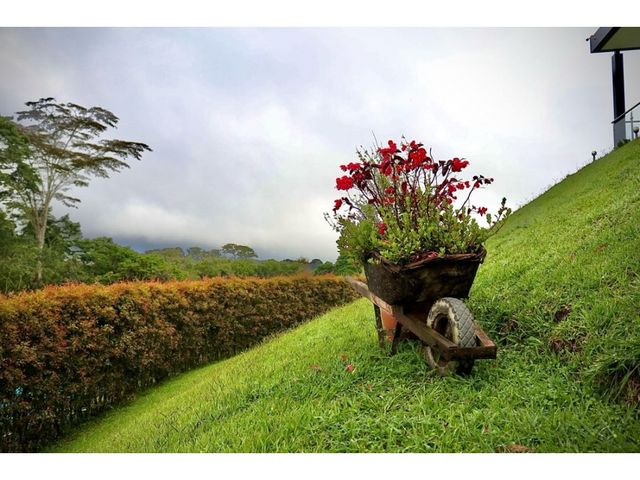 place photo 46