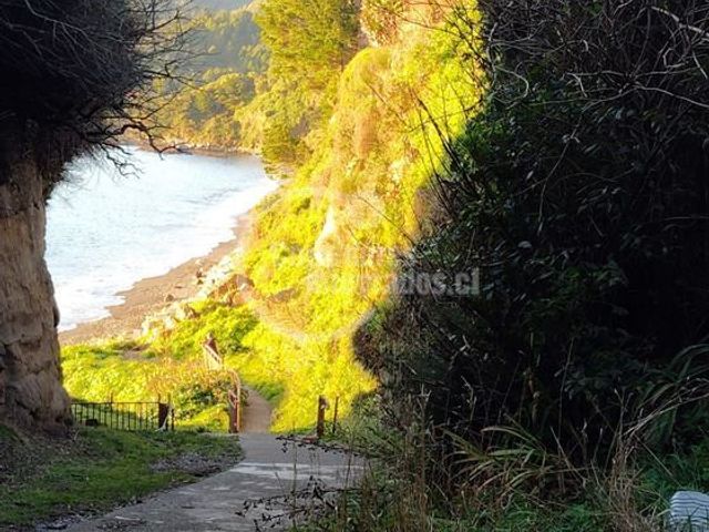 place photo 14