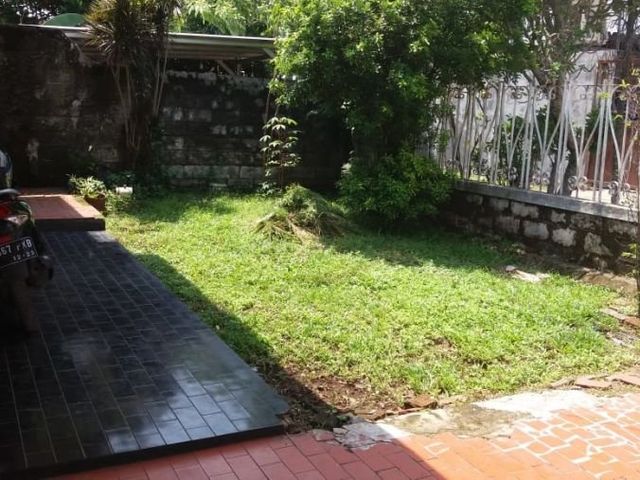 place photo 14
