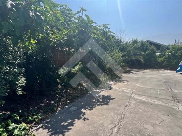 place photo 32