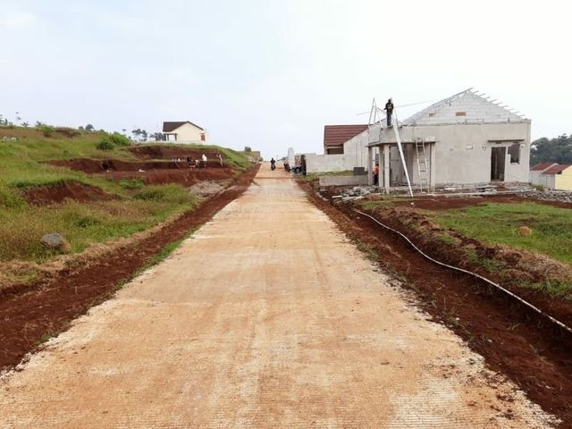place photo 12