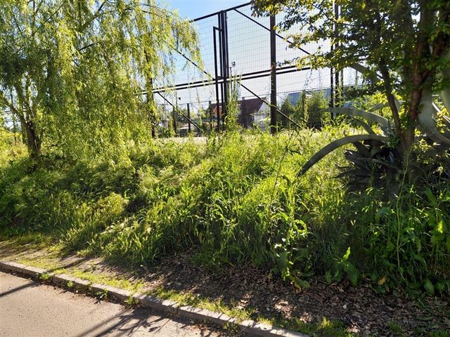 place photo 31