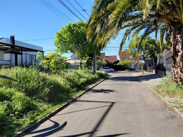 place photo 32
