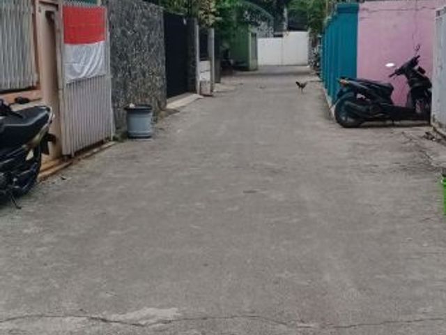 place photo 14