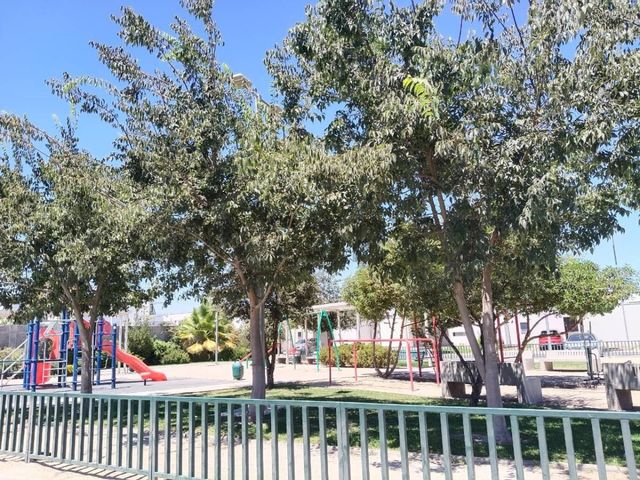 place photo 25