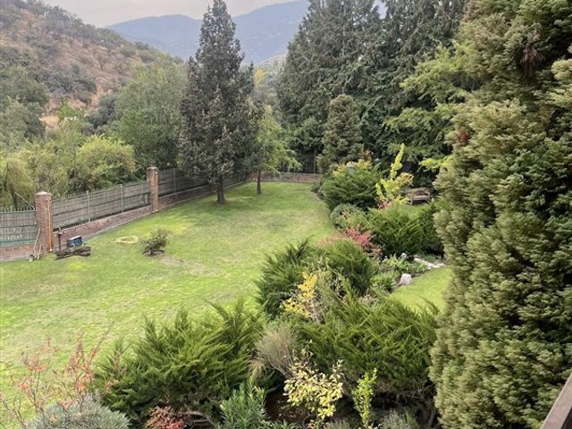 place photo 35