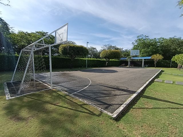 place photo 13