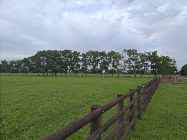 FINCA GANADERA, SECTOR PUETO LOPEZ, META , 4990 HECTAREAS
