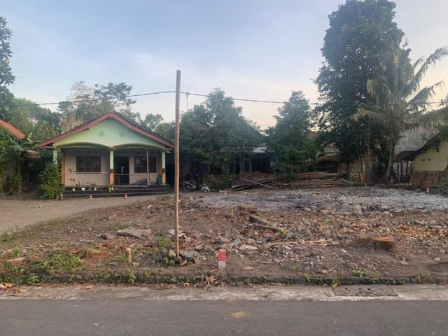 place photo 4