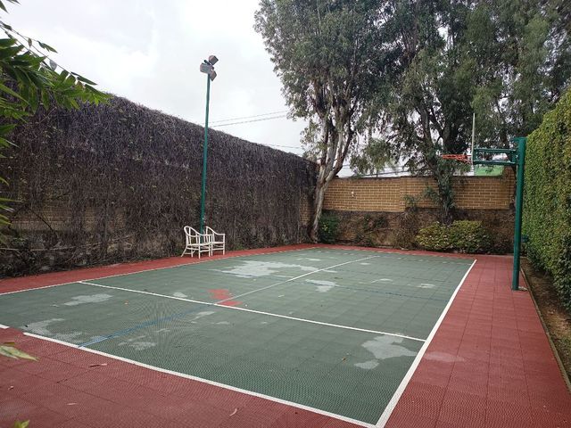 place photo 25