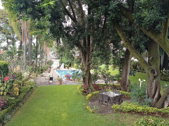 place photo 35