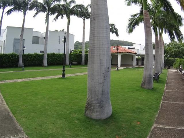 place photo 24