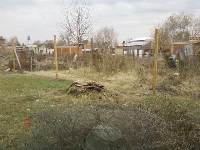 place photo 16