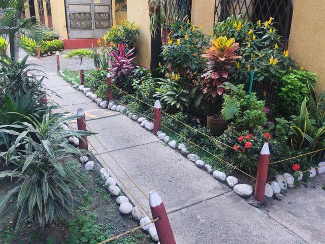 place photo 22