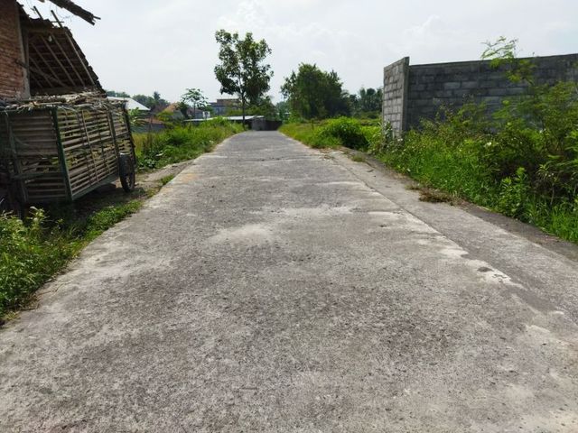 place photo 4