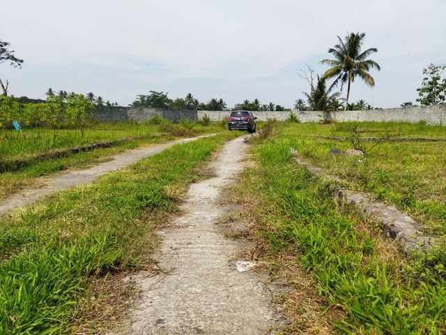 place photo 3