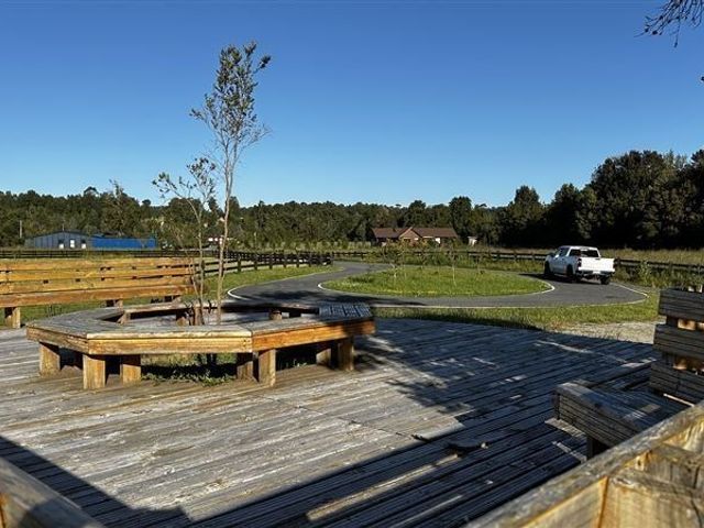 place photo 27
