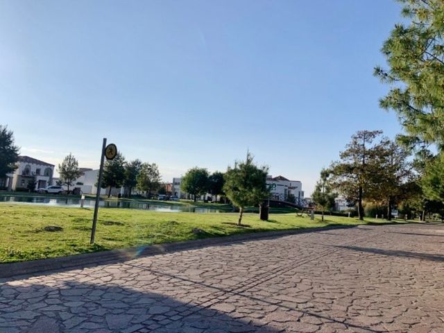 place photo 24