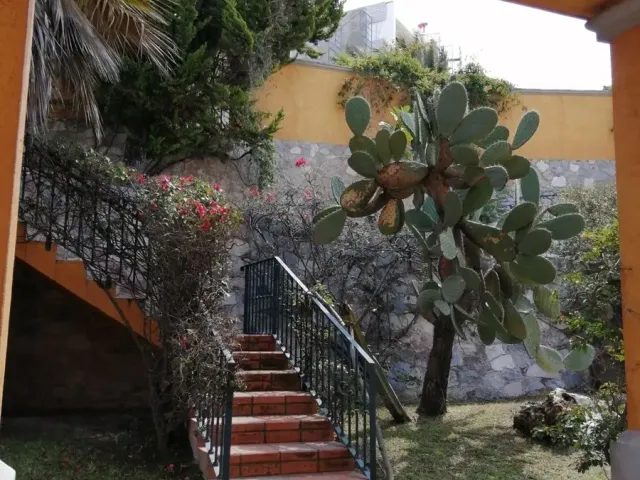 place photo 25