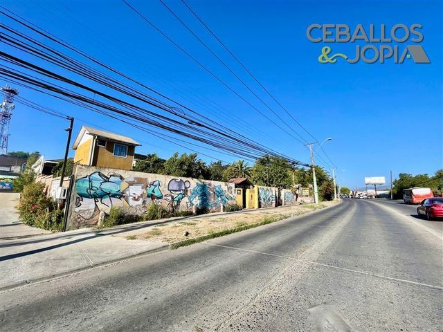 place photo 46