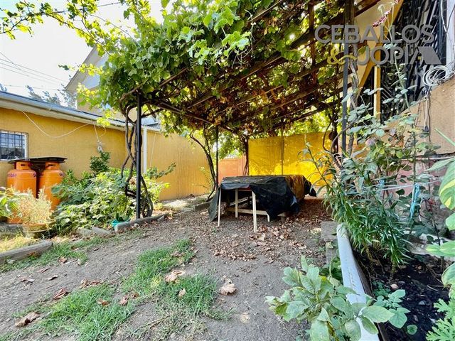 place photo 39