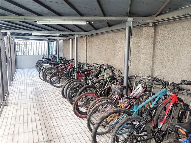 place photo 24